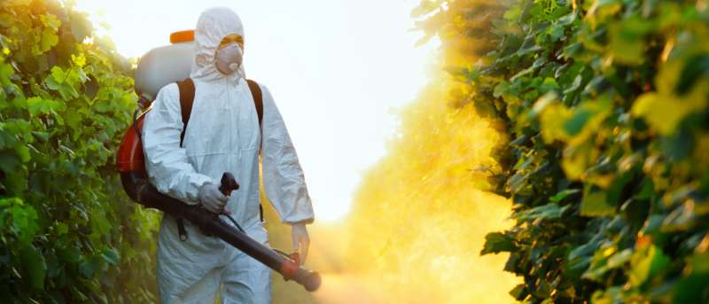 Attic and Crawl Space Pest Treatment Attic and Crawl Space Pest Treatment