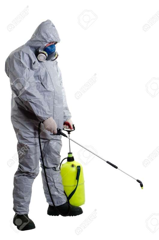 Carpet Beetle Control Carpet Beetle Control