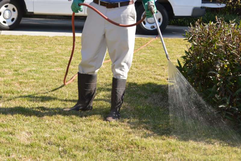 Disinfection and Sanitization Services Disinfection and Sanitization Services