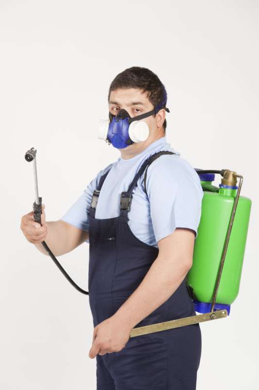 Food Processing Facility Pest Control Food Processing Facility Pest Control