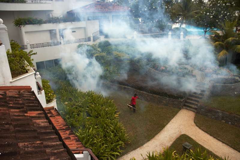 Fumigation Services Fumigation Services
