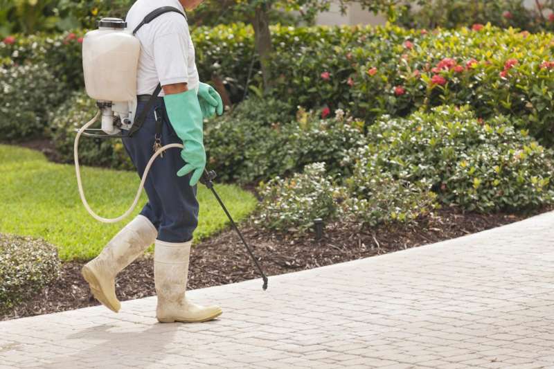 Gopher and Mole Control Gopher and Mole Control