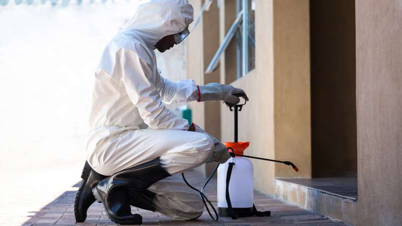 Heat Treatment for Bed Bugs Heat Treatment for Bed Bugs
