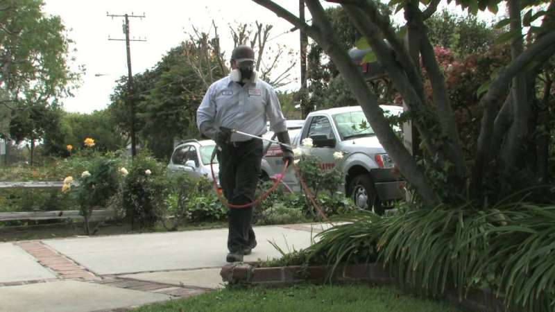 Hospital and Healthcare Facility Pest Management Hospital and Healthcare Facility Pest Management
