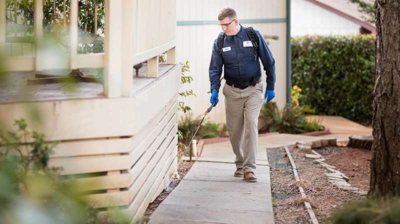 Hotel and Hospitality Pest Control Hotel and Hospitality Pest Control