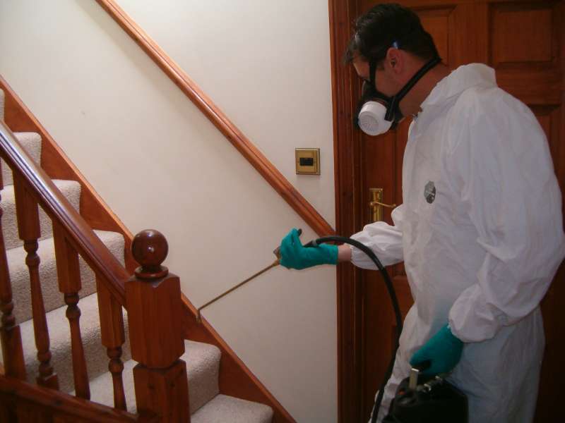 Marine and Boat Pest Control Marine and Boat Pest Control