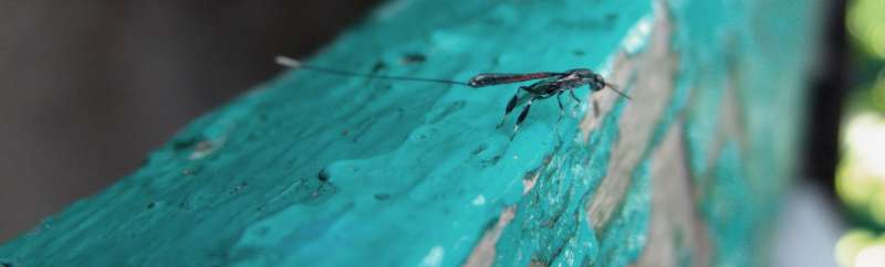 Warehouse Pest Control Warehouse Pest Control