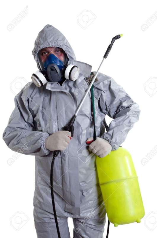 Wood-Destroying Organism (WDO) Inspections Wood-Destroying Organism (WDO) Inspections
